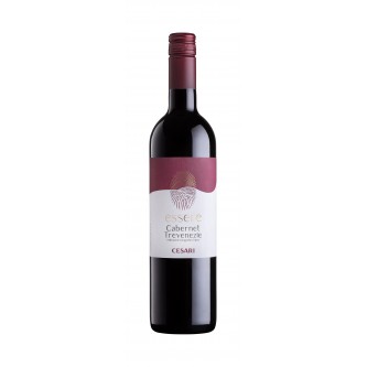 ESSERE CABERNET TREVENEZIE IGT